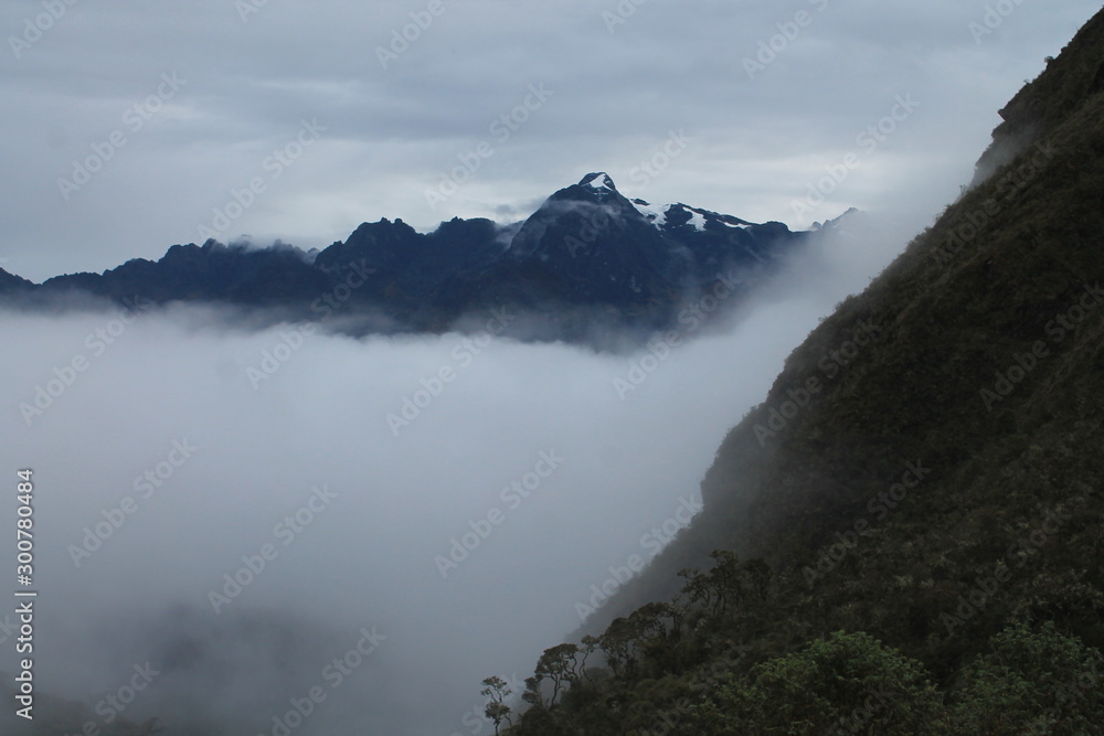 fog in the mountains