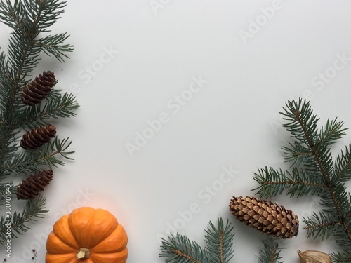 christmas background with fir branches and cones