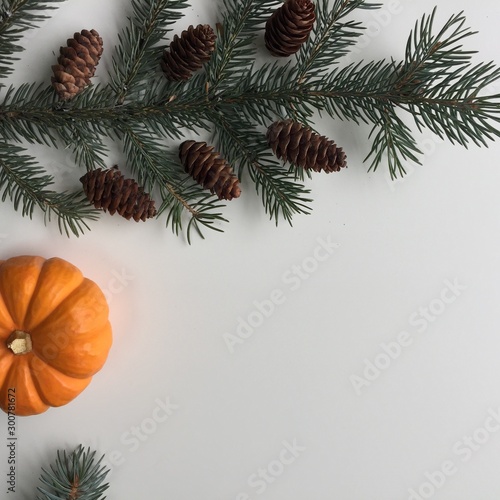 Christmas tree  branch with cones and pumpkin