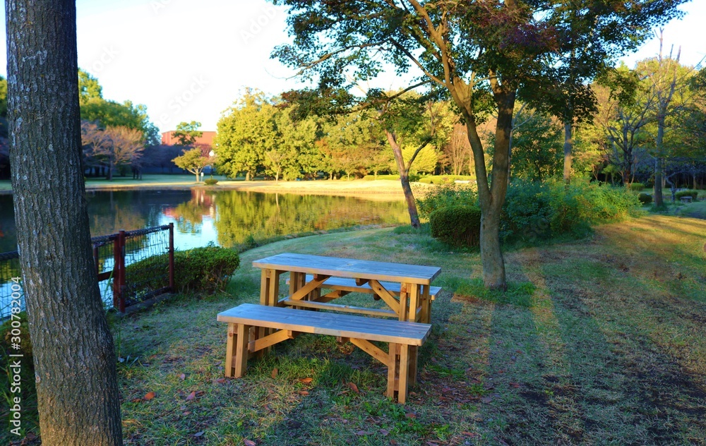 Obraz premium Staw stołowy krzesło las jesień drewno