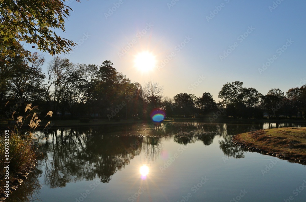 Obraz premium 夕景 空 池 秋 杤木