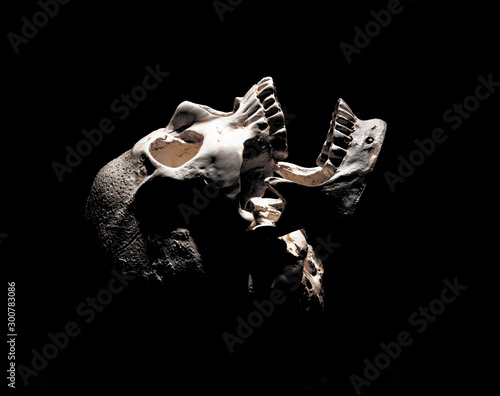 Dark skull of occult death