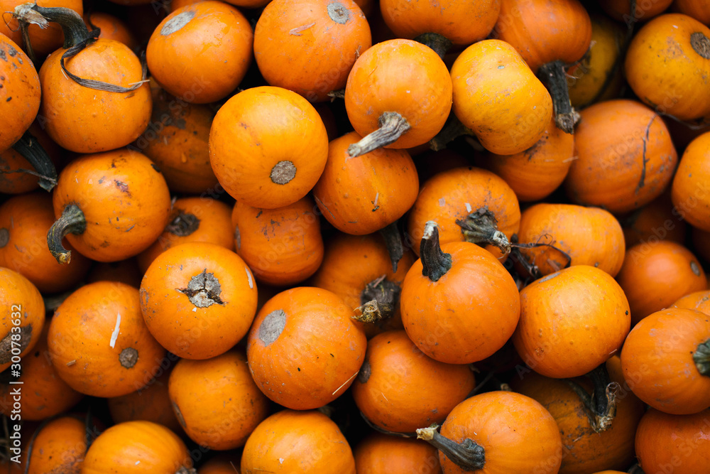 Tiny Pumpkins