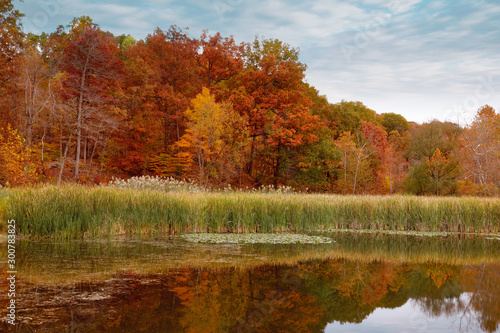 autumn in the park