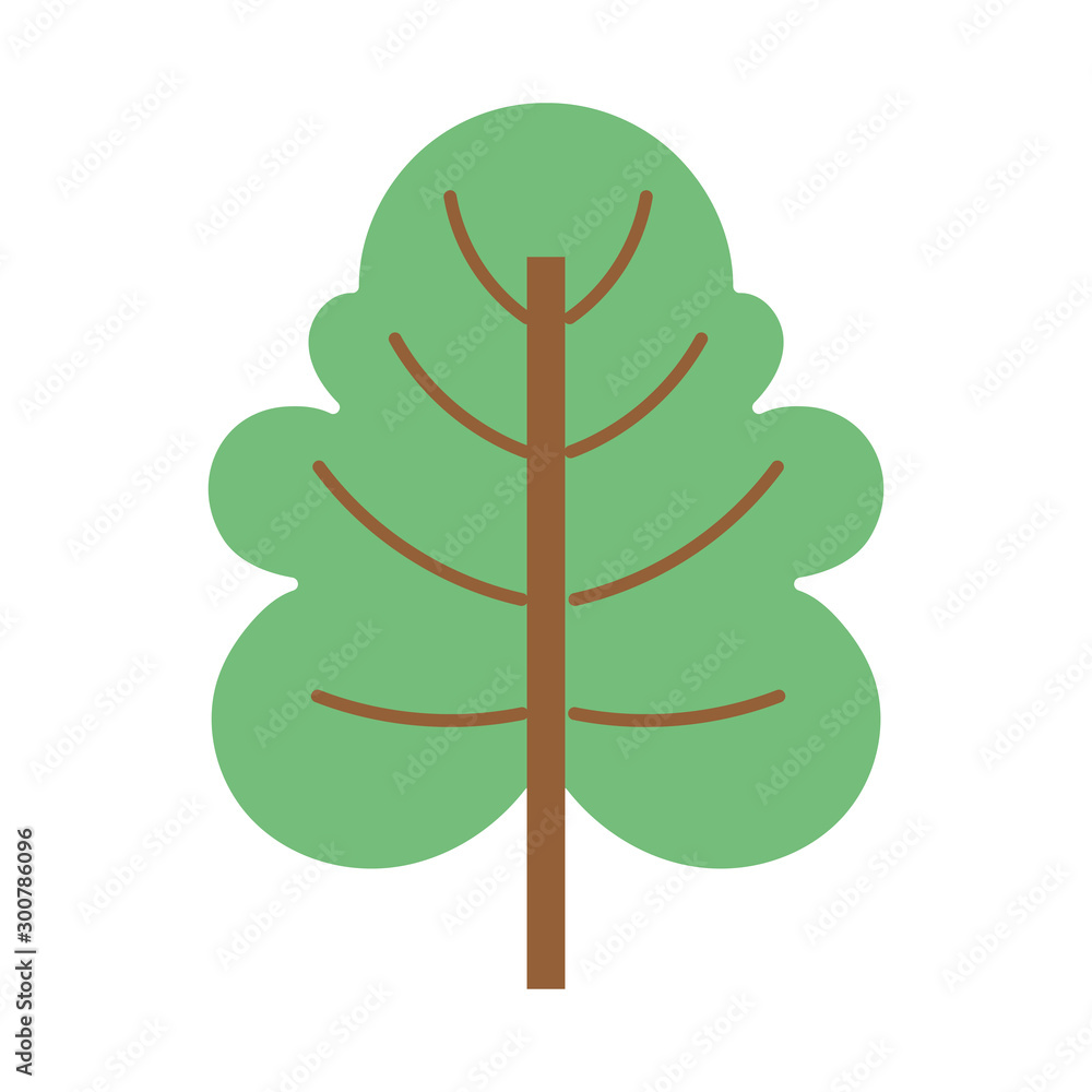 natural leaf foliage autumn on white background natural leaf foliage autumn on white background