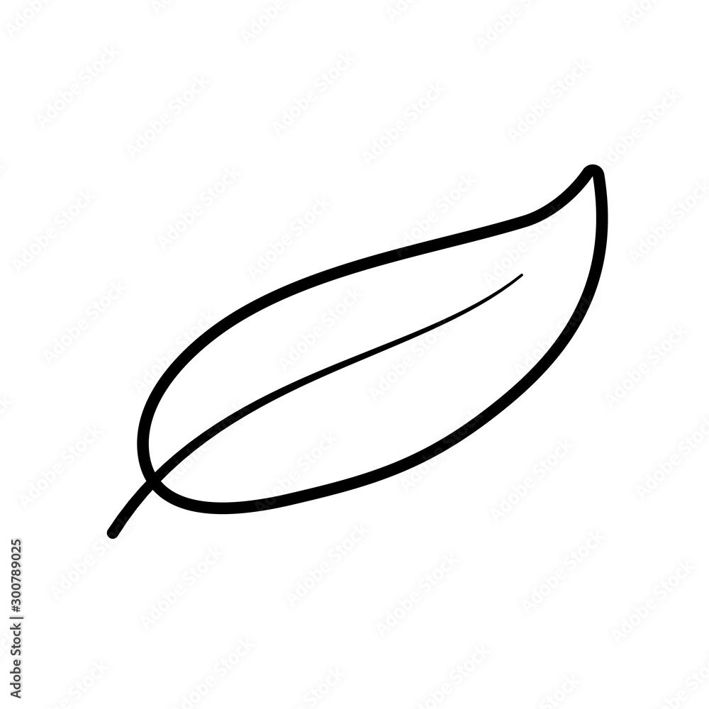 natural leaf foliage autumn on white background thick line natural leaf foliage autumn on white background thick line