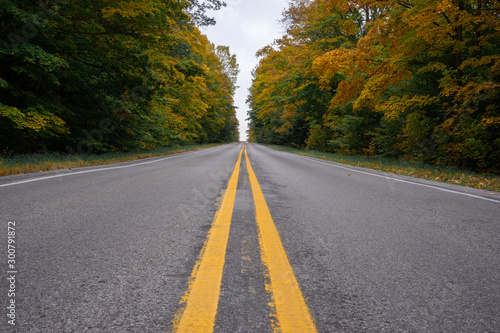 Carretera rodeada de árboles en otoño en Michigan