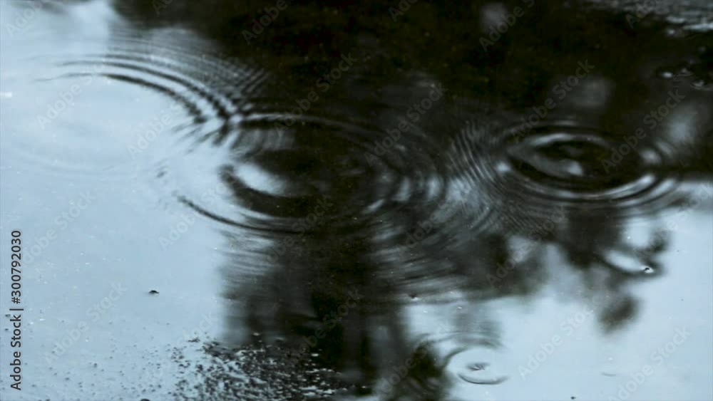 rain drops of water in puddle, water surface ripples rain drops of water in puddle, water surface ripples