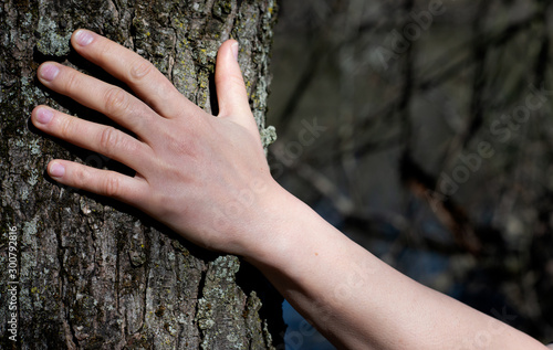 Close-up of Woman's Hands embracing a Tree Trunk in the Forest. Tree hugging. Back to Nature concept. Touch and Love the Nature.