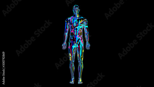 x-ray humain body colorful, humain body scan