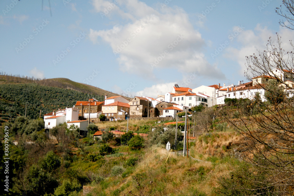 Houses in Rural Coimbra