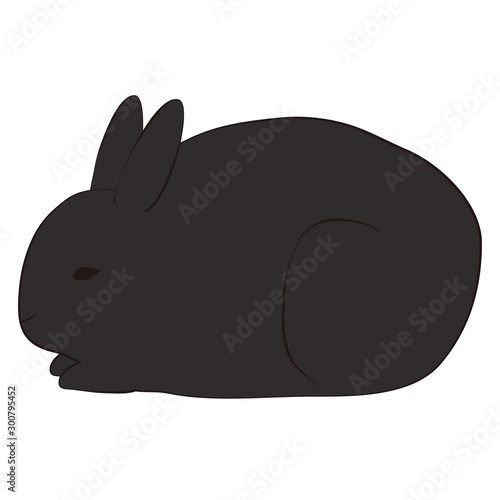ウサギ