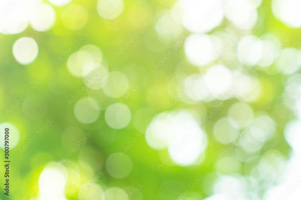natural green bokeh abstract background,blurred textured natural green bokeh abstract background,blurred textured