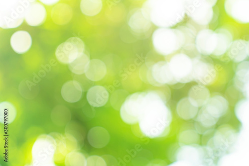 natural green bokeh abstract background blurred textured