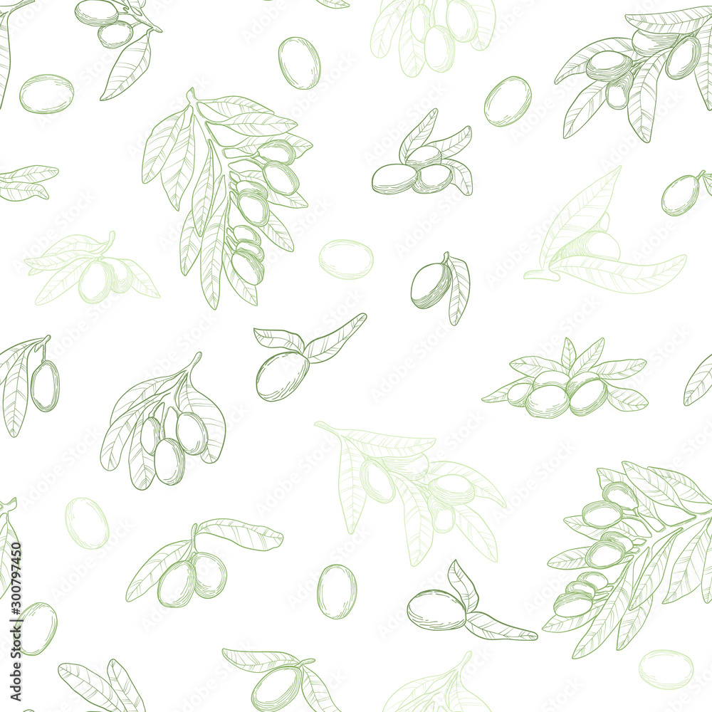 Vector seamless pattern in outline with green olive brunches on white background. Linocut olive repeated background. Hand drawn illustration backdrop. Organic sketches elements. Vector seamless pattern in outline with green olive brunches on white background. Linocut olive repeated background. Hand drawn illustration backdrop. Organic sketches elements.