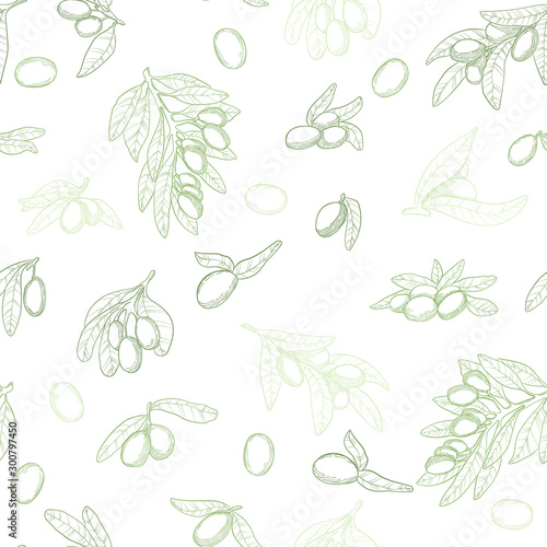 Vector seamless pattern in outline with green olive brunches on white background. Linocut olive repeated background. Hand drawn illustration backdrop. Organic sketches elements.