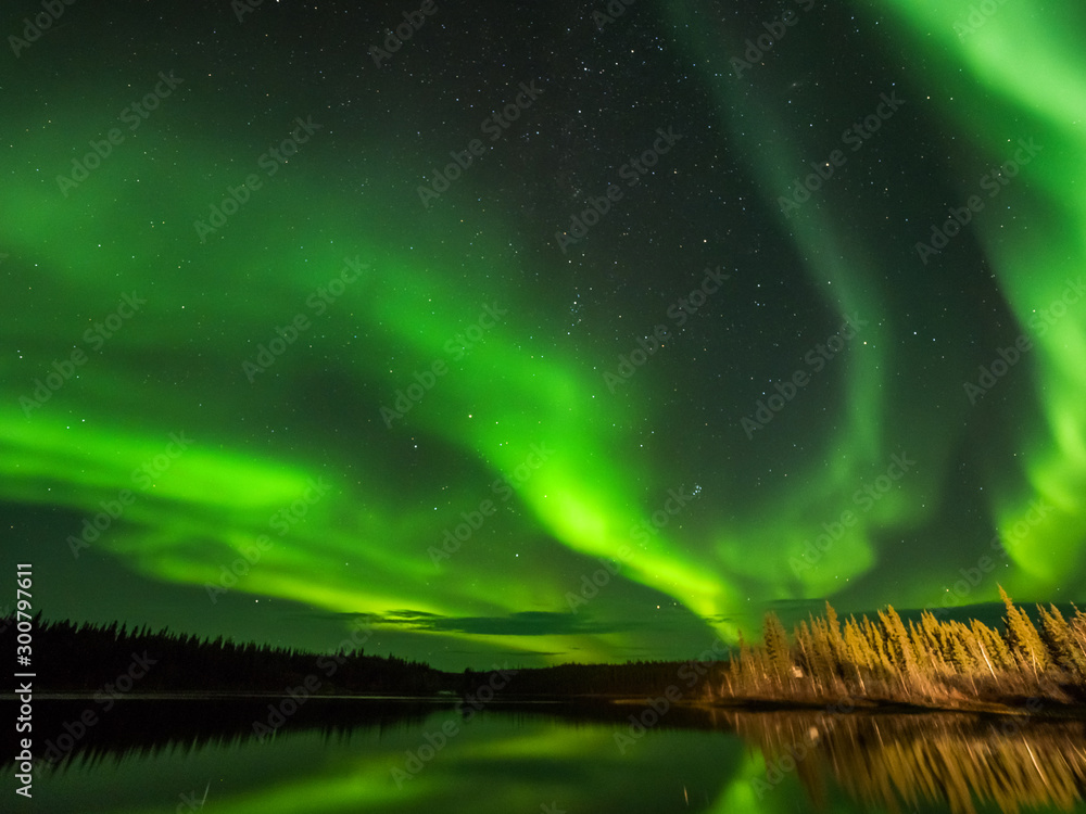 カナダ　イエローナイフ郊外のオーロラ　Aurora of Yellowknife, Canada