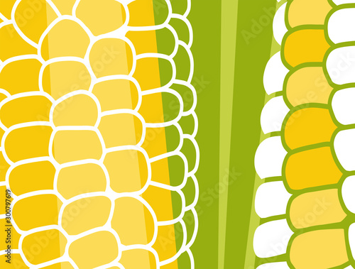 Abstract vegetable design in flat cut out style. Close up image of corn on the cob. Vector illustration.