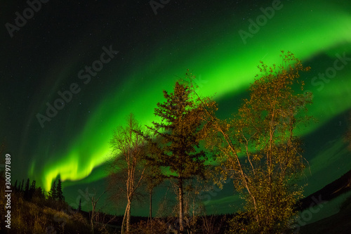 カナダ イエローナイフ郊外のオーロラ Aurora of Yellowknife, Canada