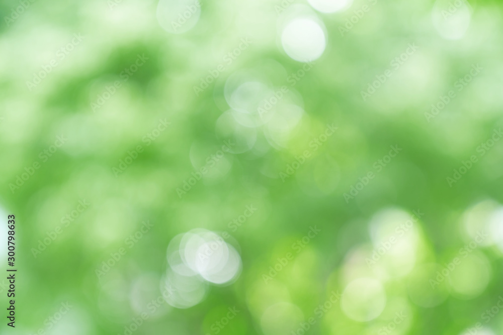 Obraz premium natural green bokeh abstract background,blurred textured