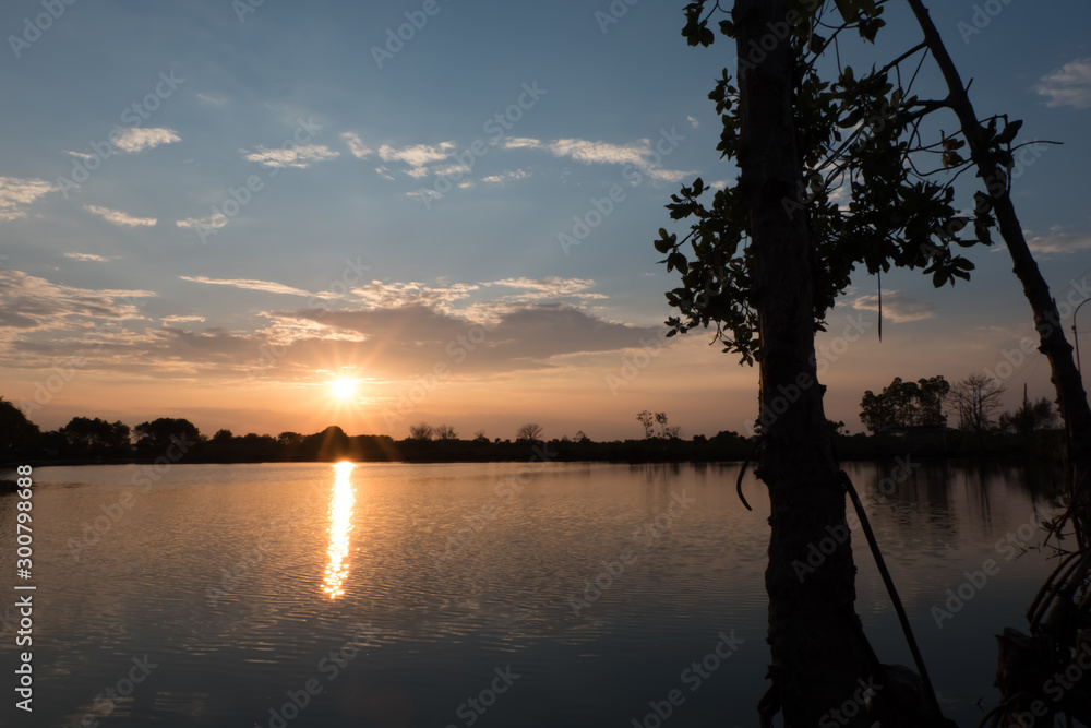 Beautiful sunsets near the lake, mangroves become silhouettes because it involves the sun's rays Beautiful sunsets near the lake, mangroves become silhouettes because it involves the sun's rays