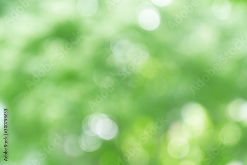 natural green bokeh abstract background,blurred textured