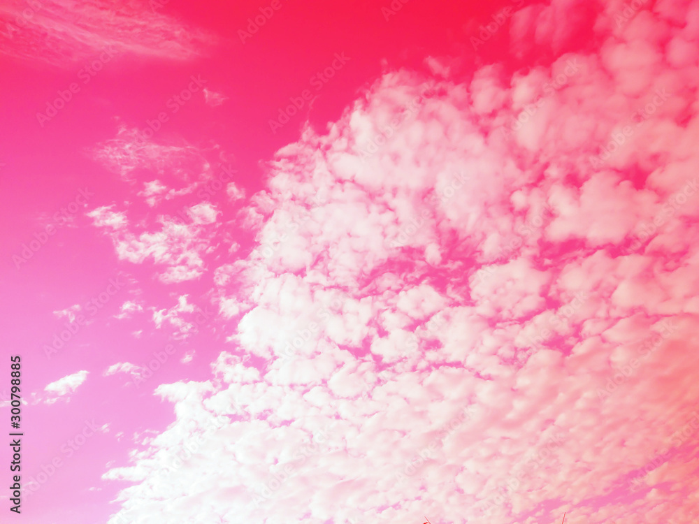 Fototapeta premium The sky has white clouds