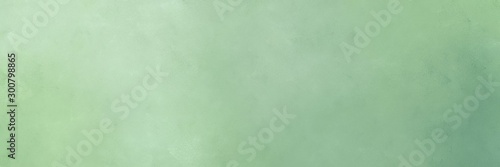 vintage texture, distressed old textured painted design with ash gray, tea green and light slate gray colors. background with space for text or image. can be used as header or banner