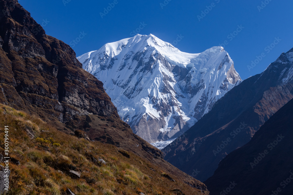 Fototapeta premium Beautiful view of Mountain and hills with flowers