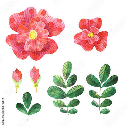 Set of watercolor stylized dog roses elements flowers, leaves, flower bud