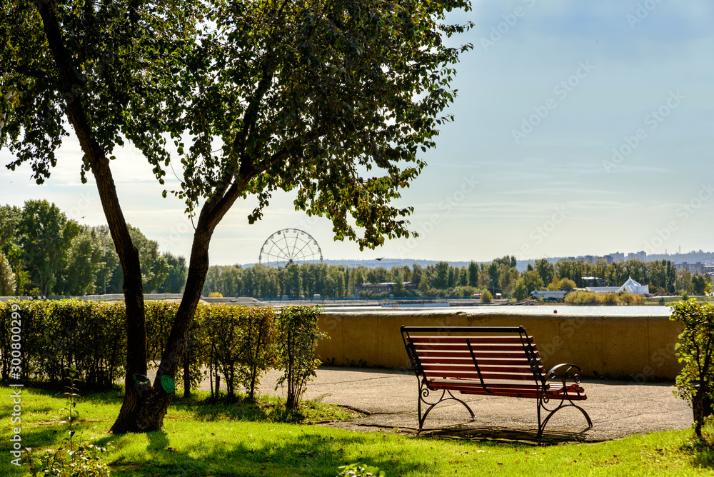 Bench and trees on the embankment of the Angara River in the city of Irkutsk. Ferris wheel and island Yunost are visible in the background