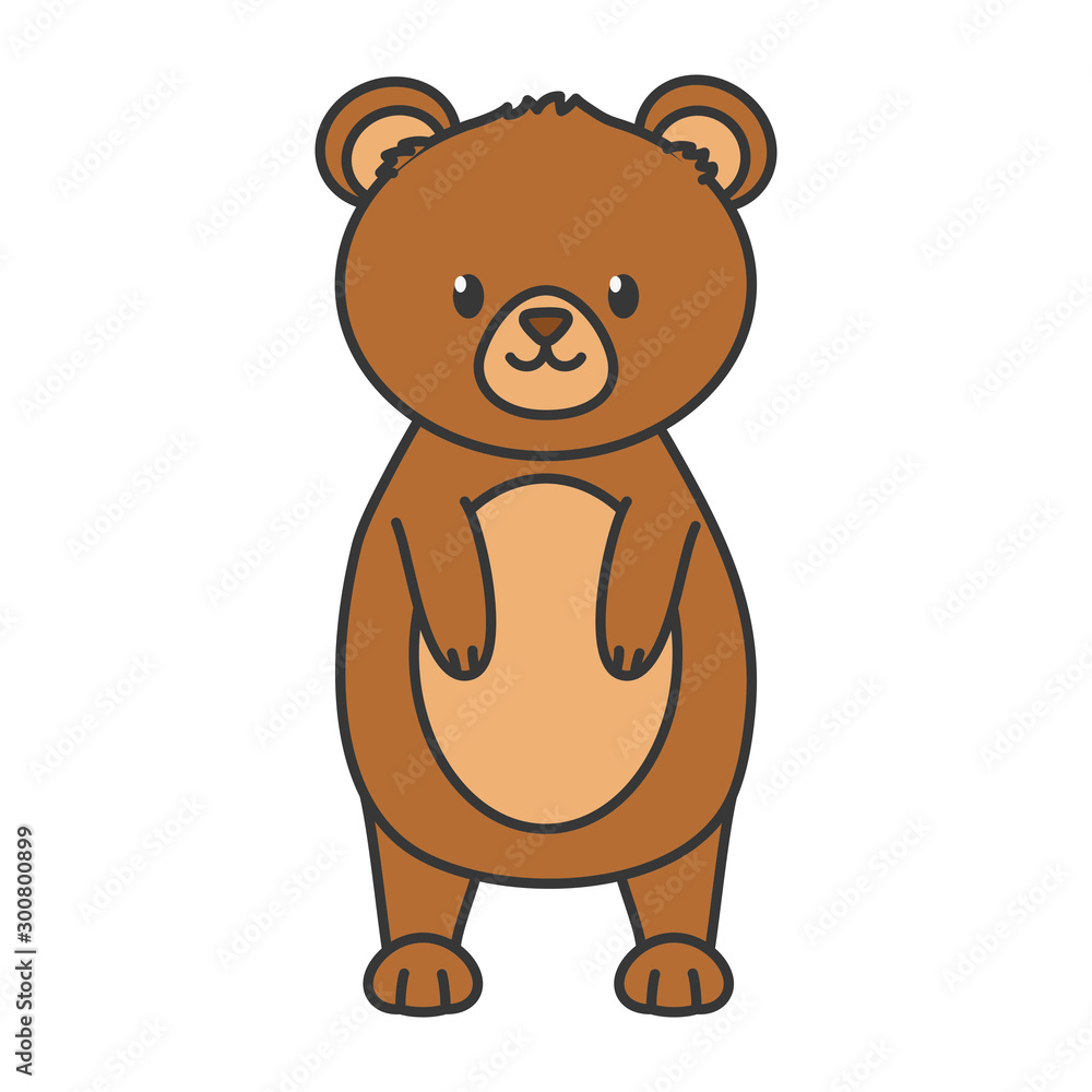 bear standing animal on white background