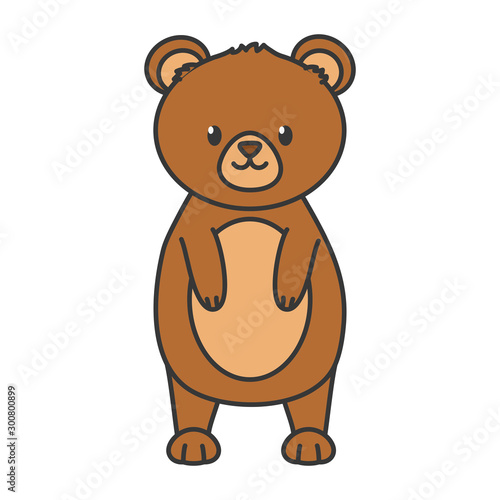 bear standing animal on white background