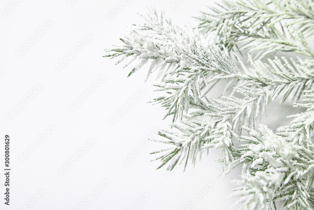 Christmas background with snowy fir branches.