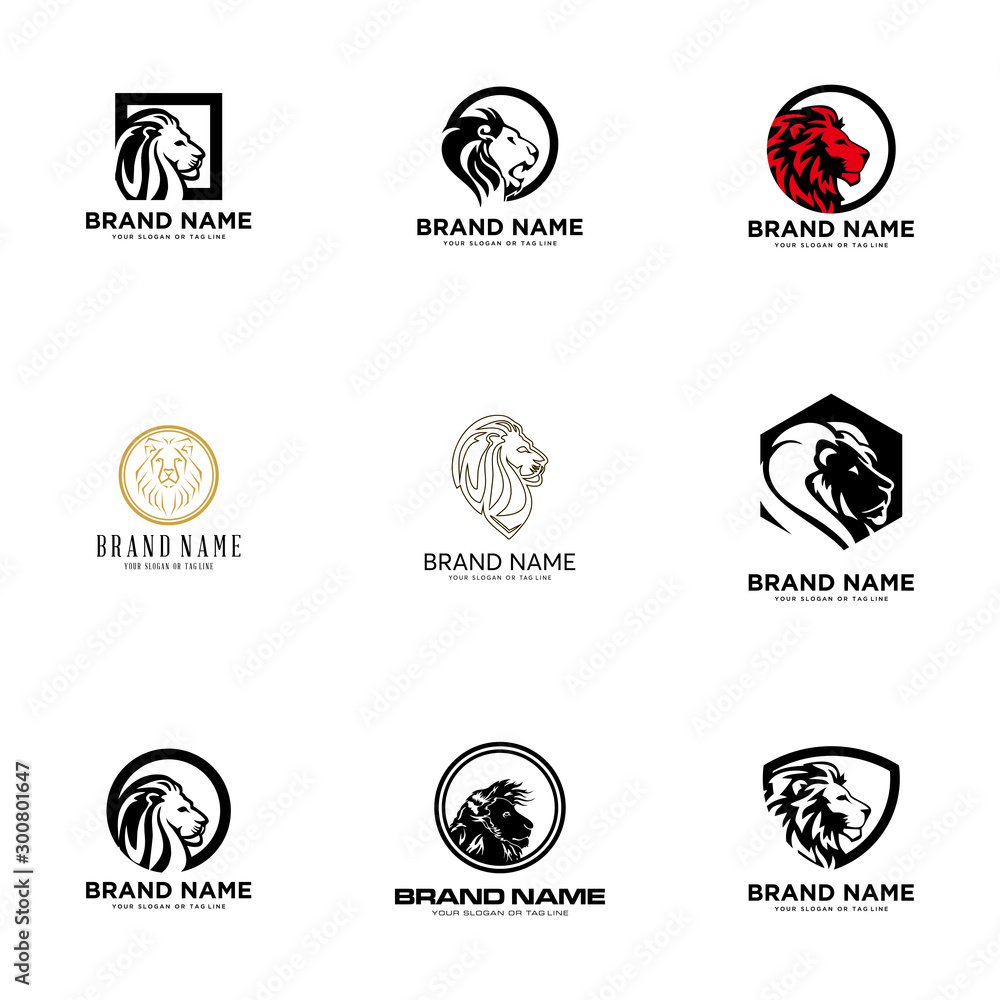 set lion logo design vector template white background