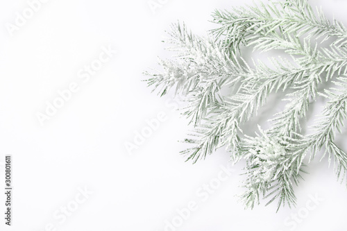 Snowy christmas background with fir branches and copy space.