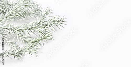 Christmas background with snowy fir branches.