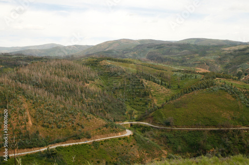 Winding Road in The Mountains