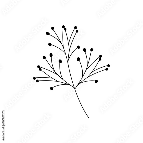 branch with leaf on white background