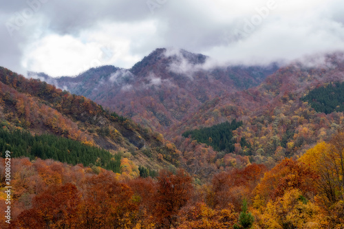 日本の紅葉 妙高戸隠連山