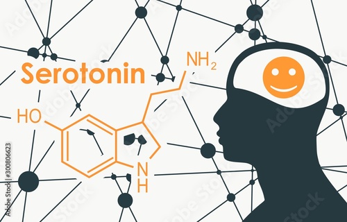 Chemical molecular formula hormone serotonin. Silhouette of a man head. Connected lines with dots background. photo