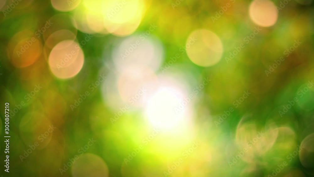 Sunny abstract green nature background Sunny abstract green nature background