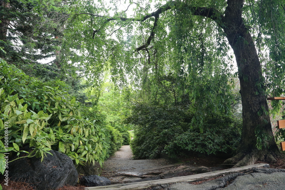Obraz premium Stock Nature Forest Nature Garden