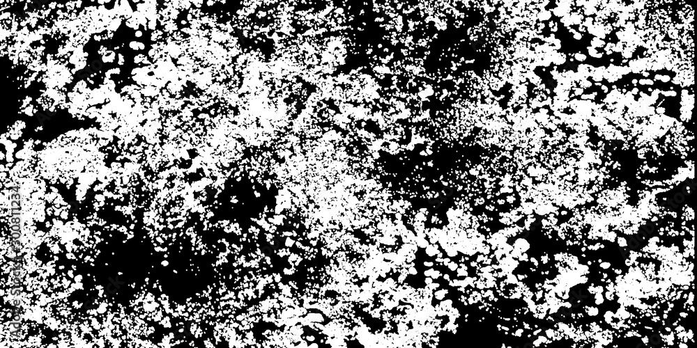 Abstract background. Monochrome texture. Image includes a effect the black and white tones. Ideas for your graphic design, banner, poster, packaging, for site or more