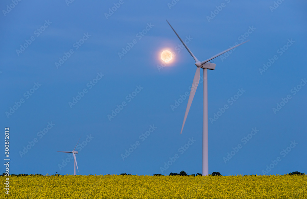 Full moon over a wind turbine in a canola field in bloom Full moon over a wind turbine in a canola field in bloom