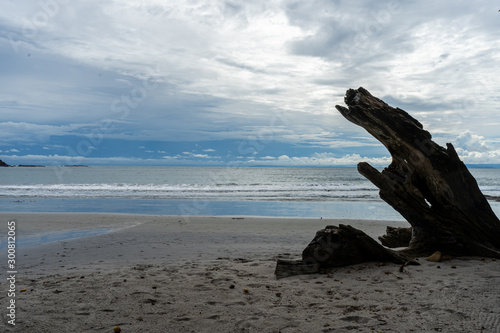 Beautiful close up view of the beach, reef and ocean in Costa Rica