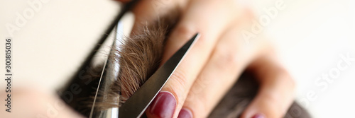 Female Hands Cutting Brown Hair with Scissors