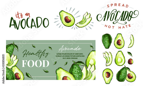 Hand drawn watercolor painting on white background. Vector illustration of avocado fruits sketch elements, eco healthy ingredients vector illustration. Great for poster, banner, voucher, coupon.