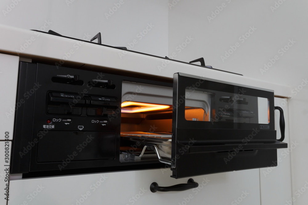 Fototapeta premium Gas Grill