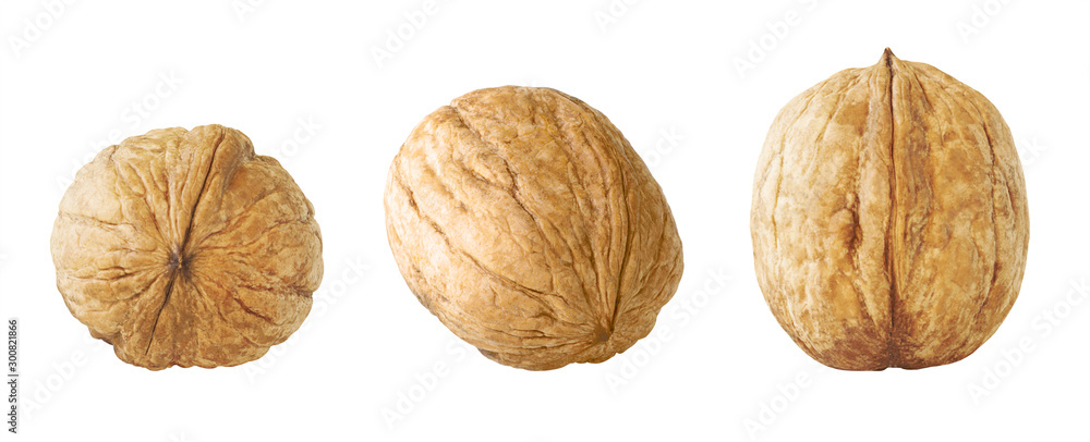 Walnut Collection. Set of Whole Nuts Walnut Isolated on White Background. Full Depth of Field - obrazy, fototapety, plakaty 